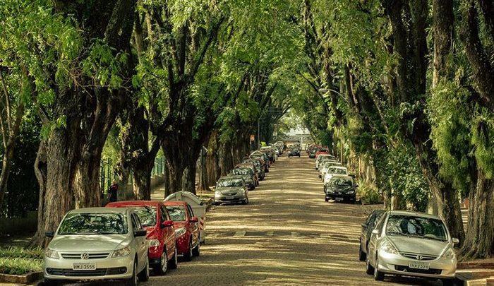 سبزترین و زیباترین خیابان دنیا کجاست؟ ، تصاویر