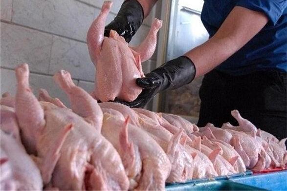 تولید سالانه 43 هزار تن گوشت مرغ در اردبیل